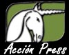 Accion Press